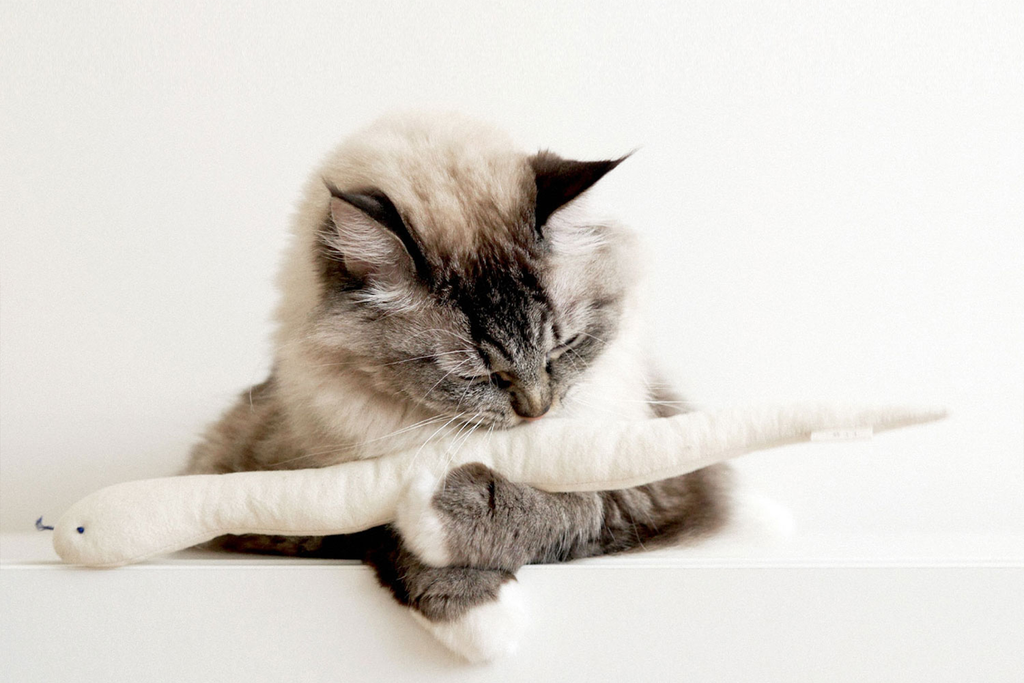 Introducing the Best Cat Toys from WagBone