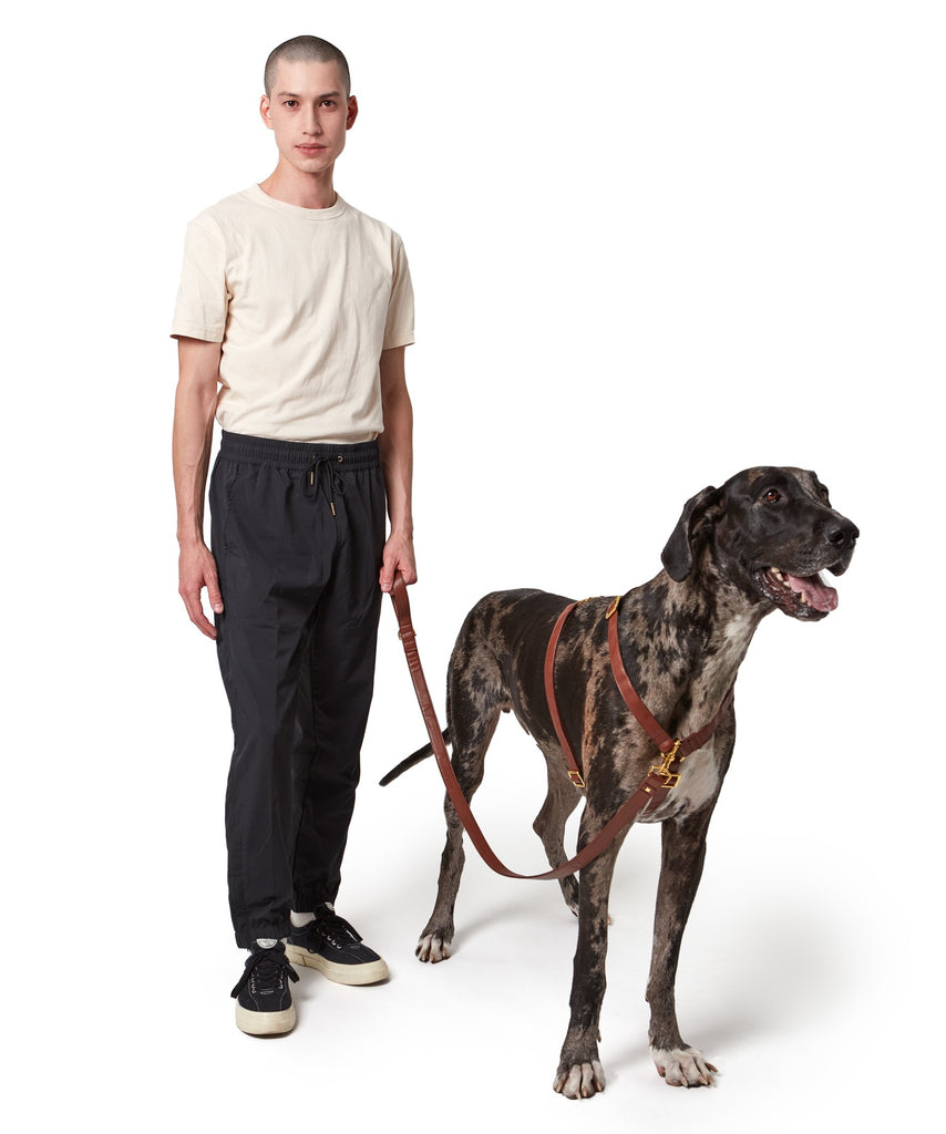 Koston Brown Leather Dog Harness Leash